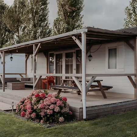 Chalet Tulpenweide - Recreatie Breezand Esterno foto