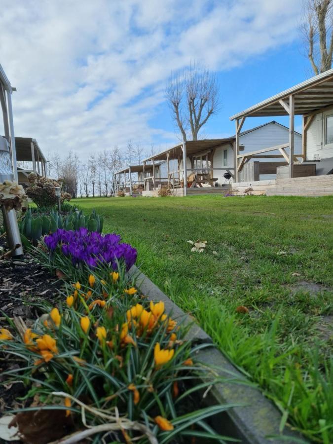 Chalet Tulpenweide - Recreatie Breezand Esterno foto